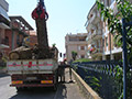 Abbattimento Palme
