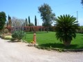 Giardinaggio