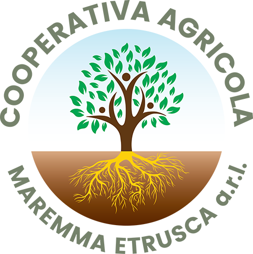 Maremma Etrusca - Montalto Viterbo Lazio Disinfestazione Punteruolo Rosso Derattizzazione Recinzioni Staccionate Eendoterapia Resistograph Allontanamento Volatili Piccioni